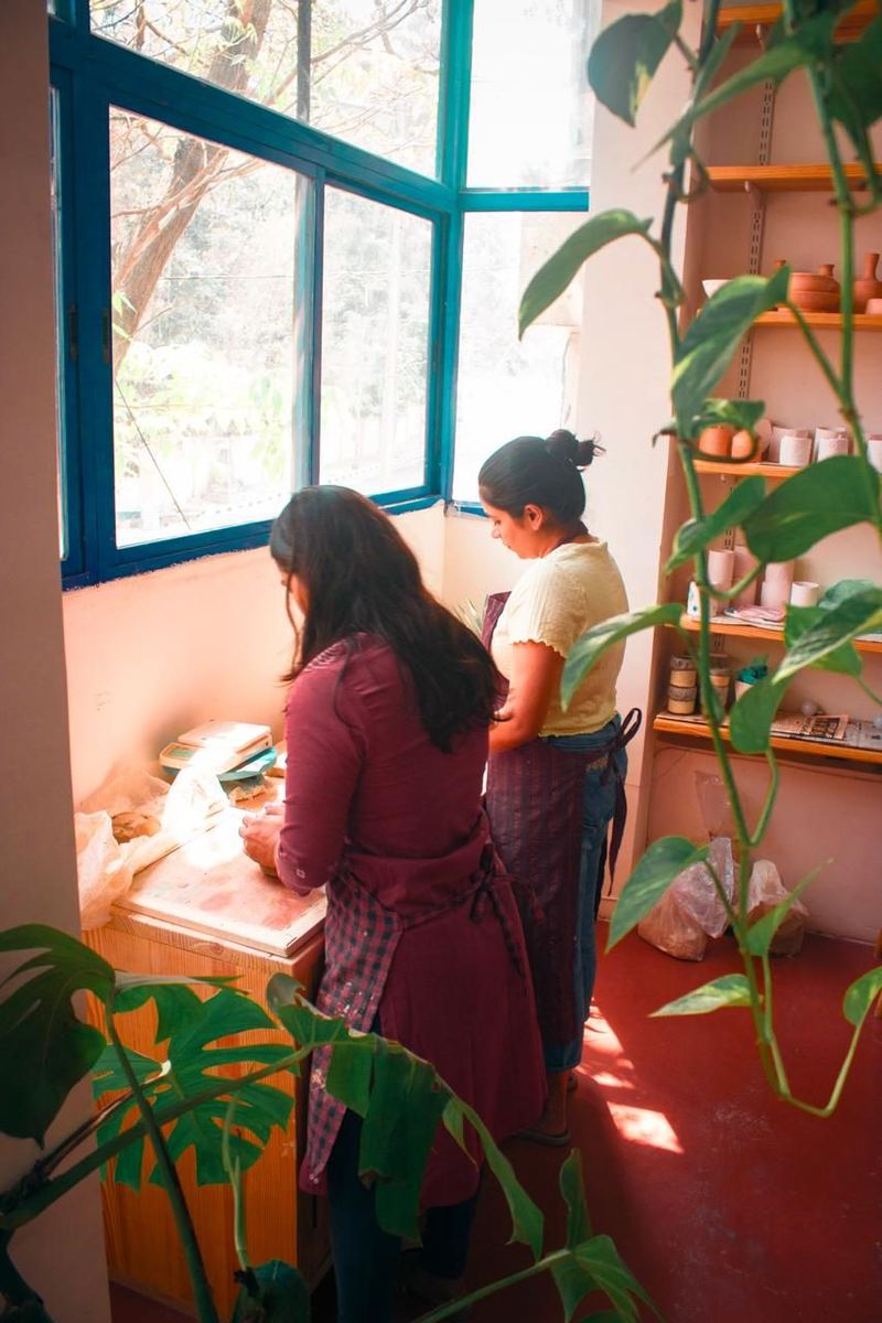 Studio light and plants at Mudcast Pottery