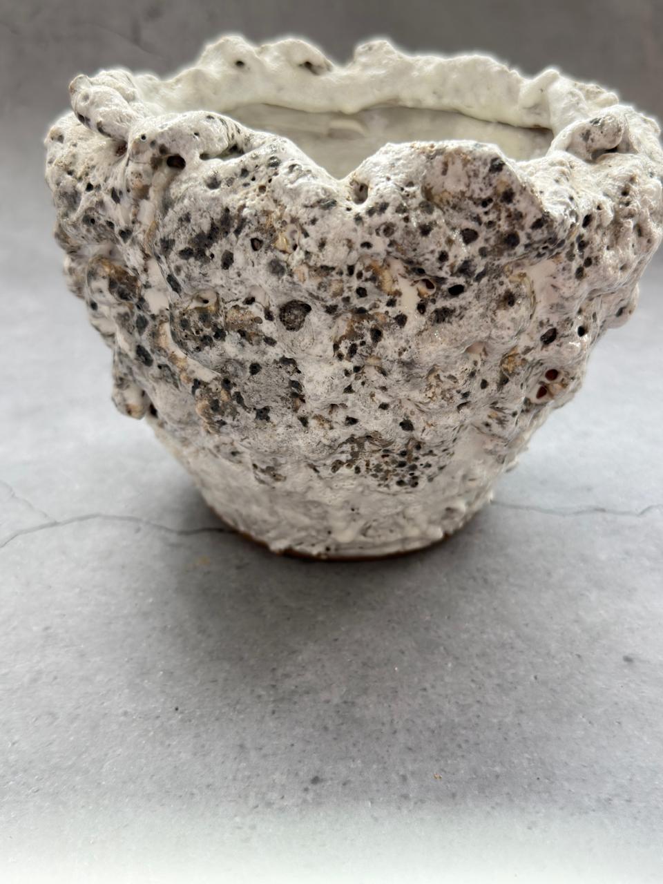 Textured reef bowl — hand-built ceramic by Meeta Pant