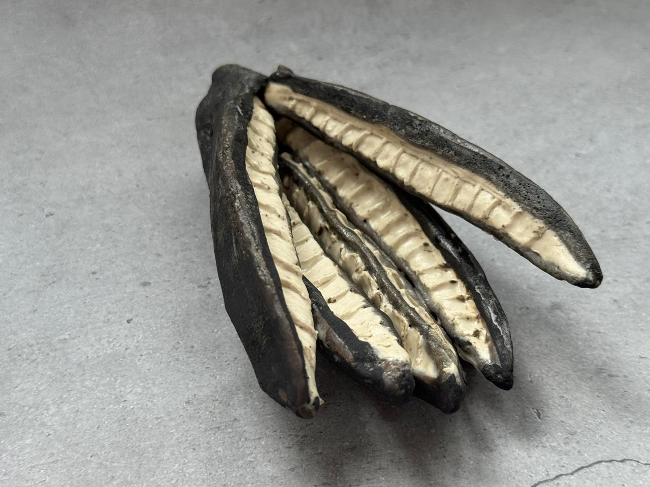 Seed Memory — ceramic sculpture by Meeta Pant